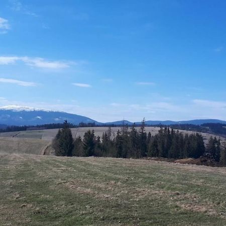 Przytulny Apartamentt Jablonka  Dış mekan fotoğraf